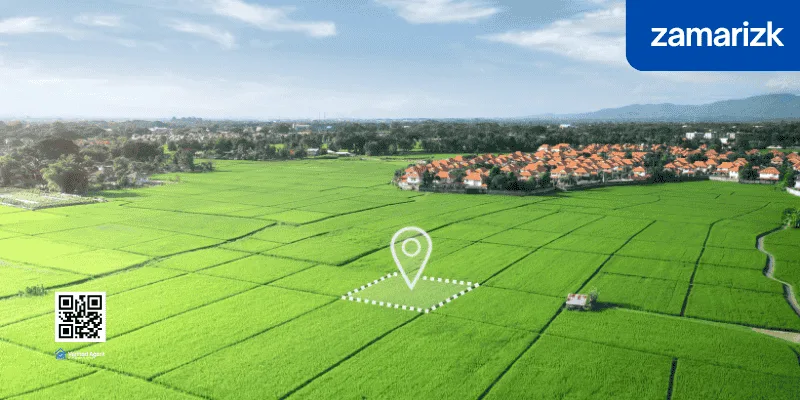 Keuntungan dan Peluang Investasi Tanah Kavling